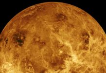 exploring-the-possibility-of-oceans-on-venus-could-life-have-thrived