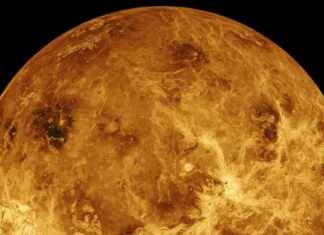 Exploring the Possibility of Oceans on Venus: Could Life Have Thrived? exploring-the-possibility-of-oceans-on-venus-could-life-have-thrived
