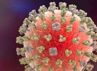 First Severe Case of H5N1 Hospitalization in Louisiana: What You Need to Know first-severe-case-of-h5n1-hospitalization-in-louisiana-what-you-need-to-know