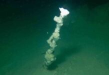 mysterious-liquid-spewing-chimneys-found-in-dead-sea-what-are-they