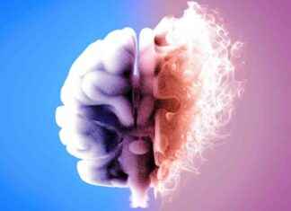 Uncovering the Secrets of Millennia-Old Preserved Brains news-02122024-215102