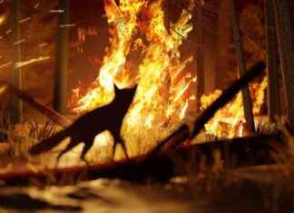 One-Third of Earth’s Species at Risk of Extinction by 2100: Urgent Action Needed one-third-of-earths-species-at-risk-of-extinction-by-2100-urgent-action-needed