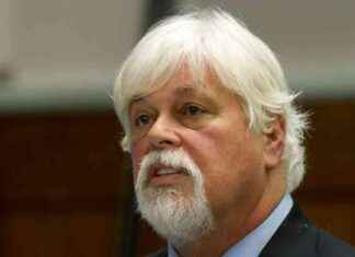 Paul Watson, Anti-Whaling Activist, Released from Custody and Avoids Extradition to Japan paul-watson-anti-whaling-activist-released-from-custody-and-avoids-extradition-to-japan
