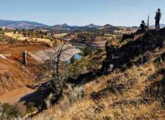 Revitalizing Wildlife Conservation: The Resurgence of Salmon in the Klamath River revitalizing-wildlife-conservation-the-resurgence-of-salmon-in-the-klamath-river