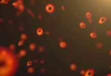 the-mpact-of-miniature-black-holes-on-planets-and-bodies-a-new-study