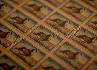 The Success of the Duck Stamp: A Key Conservation Tool in U.S. History the-success-of-the-duck-stamp-a-key-conservation-tool-in-us-history