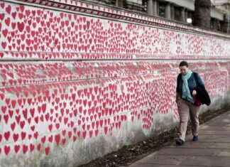 UK Pandemic Preparedness Warning: A Call to Action by Lords uk-pandemic-preparedness-warning-a-call-to-action-by-lords