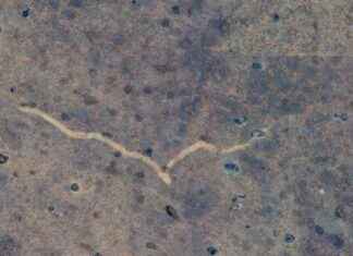 Uncovering the Mystery Behind Australia’s Seven-Mile Scar uncovering-the-mystery-behind-australias-seven-mile-scar