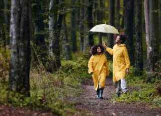 Understanding the Meaning of a 30% Chance of Rain in Weather Reports understanding-the-meaning-of-a-30-chance-of-rain-in-weather-reports