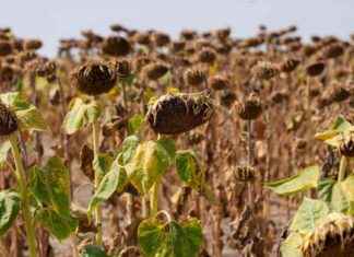 2024: Scientists Warn of Global Warming Crisis Ahead 2024-scientists-warn-of-global-warming-crisis-ahead