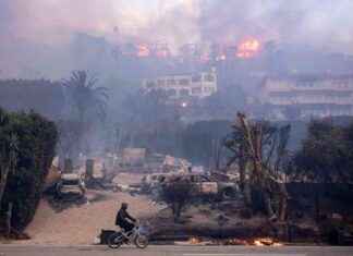 California Insurance System Faces Challenges from Los Angeles Fires california-nsurance-system-faces-challenges-from-los-angeles-fires