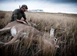 Debating the Risk of Chronic Wasting Disease in Deer: Hunter Perspectives debating-the-risk-of-chronic-wasting-disease-in-deer-hunter-perspectives
