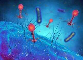 Harnessing Phage Therapy to Combat Antibiotic Resistance harnessing-phage-therapy-to-combat-antibiotic-resistance