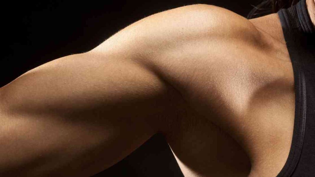 muscle-vs-fat-calorie-burning-comparison