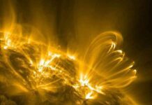 predicting-solar-flares-how-flickering-on-the-sun-signals-danger