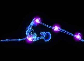 Ultimate Flexibility: Understanding Joints for Better Health ultimate-flexibility-understanding-joints-for-better-health