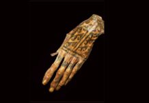 uncovering-ancient-tattoo-patterns-in-peru-mummies-using-lasers