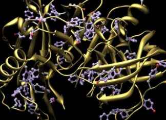 Understanding How DNA Mutations Cause Genetic Diseases: Unique Database Reveals Protein Destabilization understanding-how-dna-mutations-cause-genetic-diseases-unique-database-reveals-protein-destabilization