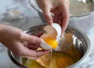 Understanding the Health Risks of Raw Eggs: Bird Flu, Salmonella, and More understanding-the-health-risks-of-raw-eggs-bird-flu-salmonella-and-more