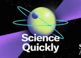 2024 YR4 Asteroid: Impact Risk and Current Knowledge 2024-yr4-asteroid-mpact-risk-and-current-knowledge