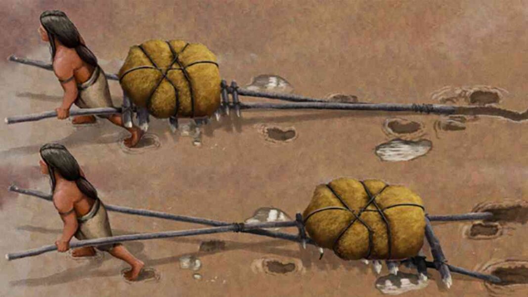 ancient-vehicles-discovery-20000-year-old-evidence-in-new-mexico