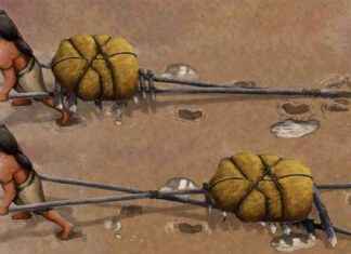 Ancient ‘Vehicles’ Discovery: 20,000-Year-Old Evidence in New Mexico ancient-vehicles-discovery-20000-year-old-evidence-in-new-mexico