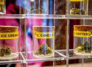 Cannabis Use Increases Psychosis Risk in Teenagers cannabis-use-ncreases-psychosis-risk-in-teenagers