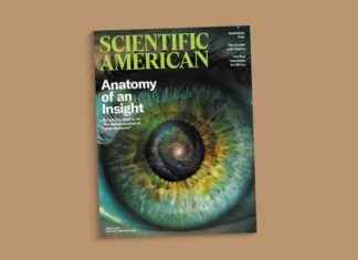 Discovering the Beauty of Local Sparrows and Flowers discovering-the-beauty-of-local-sparrows-and-flowers