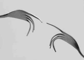 Elon Musk’s Dead End: A Fork in the Road elon-musks-dead-end-a-fork-in-the-road