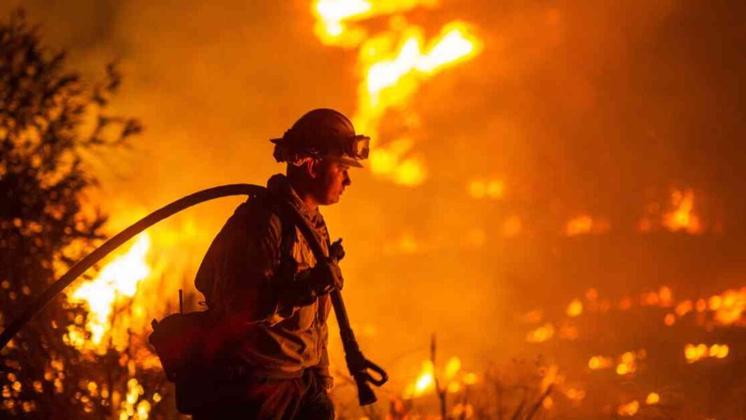 hottest-january-on-record-sparks-warning-of-dangerous-climate-breakdown