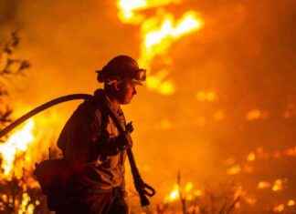 Hottest January on Record Sparks Warning of Dangerous Climate Breakdown hottest-january-on-record-sparks-warning-of-dangerous-climate-breakdown