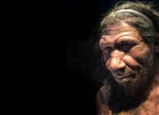 Neanderthal Population Bottleneck 110,000 Years Ago: Extinction Theory neanderthal-population-bottleneck-110000-years-ago-extinction-theory