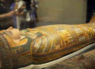 New Title: Sweet and Spicy Smell of Ancient Egyptian Mummies new-title-sweet-and-spicy-smell-of-ancient-egyptian-mummies