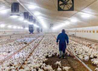 Preparing for Potential Bird Flu Outbreak in U.S. preparing-for-potential-bird-flu-outbreak-in-us