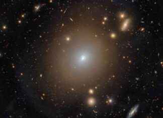 Rare Einstein Ring of Light Observed in Distant Galaxy rare-einstein-ring-of-light-observed-in-distant-galaxy