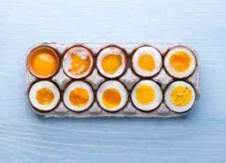 The Science Behind Cooking the Perfect Egg the-science-behind-cooking-the-perfect-egg