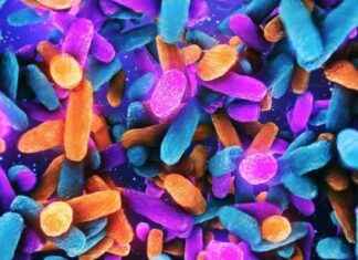 The Ultimate Vagina Atlas: Scientists’ Groundbreaking Project Explained the-ultimate-vagina-atlas-scientists-groundbreaking-project-explained