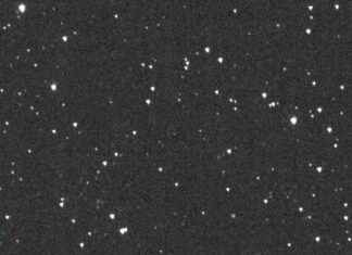 Track asteroid 2024 YR4: ‘city-killer’ risk in 2024. track-asteroid-2024-yr4-city-killer-risk-in-2024