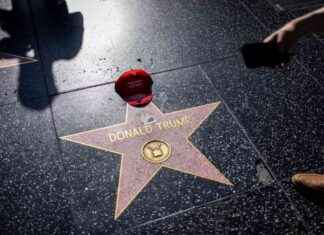 Understanding Trump’s Success Through Reality TV understanding-trumps-success-through-reality-tv