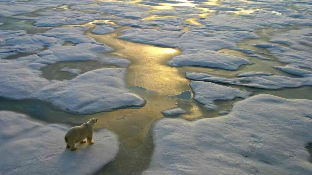concerns-rise-as-global-sea-ice-levels-reach-record-low