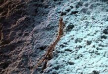 deadly-giant-cave-centipede-evolution-in-romanian-darkness