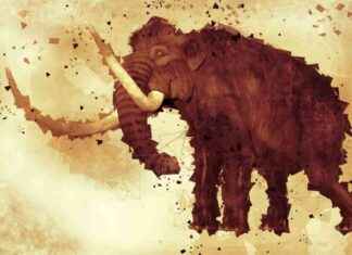 Debate: Reviving Woolly Mammoths – Yes or No? debate-reviving-woolly-mammoths-yes-or-no