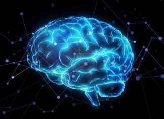 Decoding Human Language: AI Algorithm Unpacking Neuroscience decoding-human-language-a-algorithm-unpacking-neuroscience