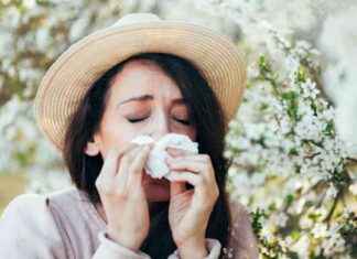 How to Manage Severe Hay Fever Symptoms This Year how-to-manage-severe-hay-fever-symptoms-this-year