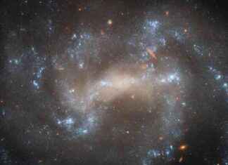 Hubble Captures Stellar ‘Imposter’ in Great Bear Galaxy hubble-captures-stellar-mposter-in-great-bear-galaxy