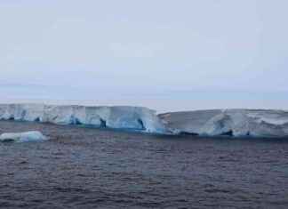 Largest Iceberg Grounded in South Georgia Affects Penguin Feeding largest-ceberg-grounded-in-south-georgia-affects-penguin-feeding