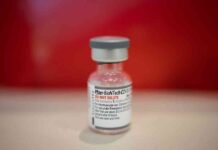 mrna-vaccine-technology-criticized-by-trump-and-rfk-jr