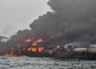 North Sea Ship Crash: Lethal Consequences for Wildlife north-sea-ship-crash-lethal-consequences-for-wildlife