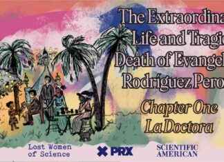 Pioneering Female Doctor: Evangelina Rodríguez’s Extraordinary Life pioneering-female-doctor-evangelina-rodrguezs-extraordinary-life