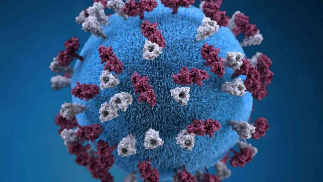 rising-measles-cases-in-europe-who-and-uncef-report